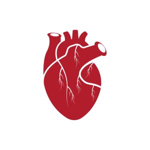 Comprehensive Cardiac Health Package